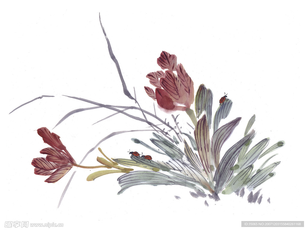 花鸟