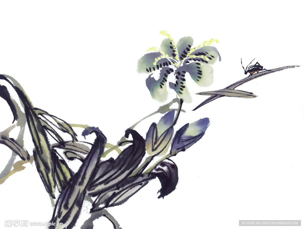 花鸟