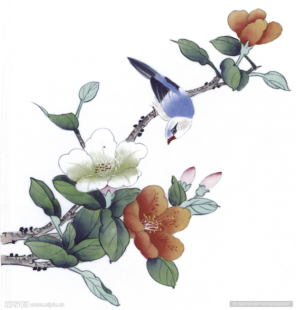 绘画花鸟珍品