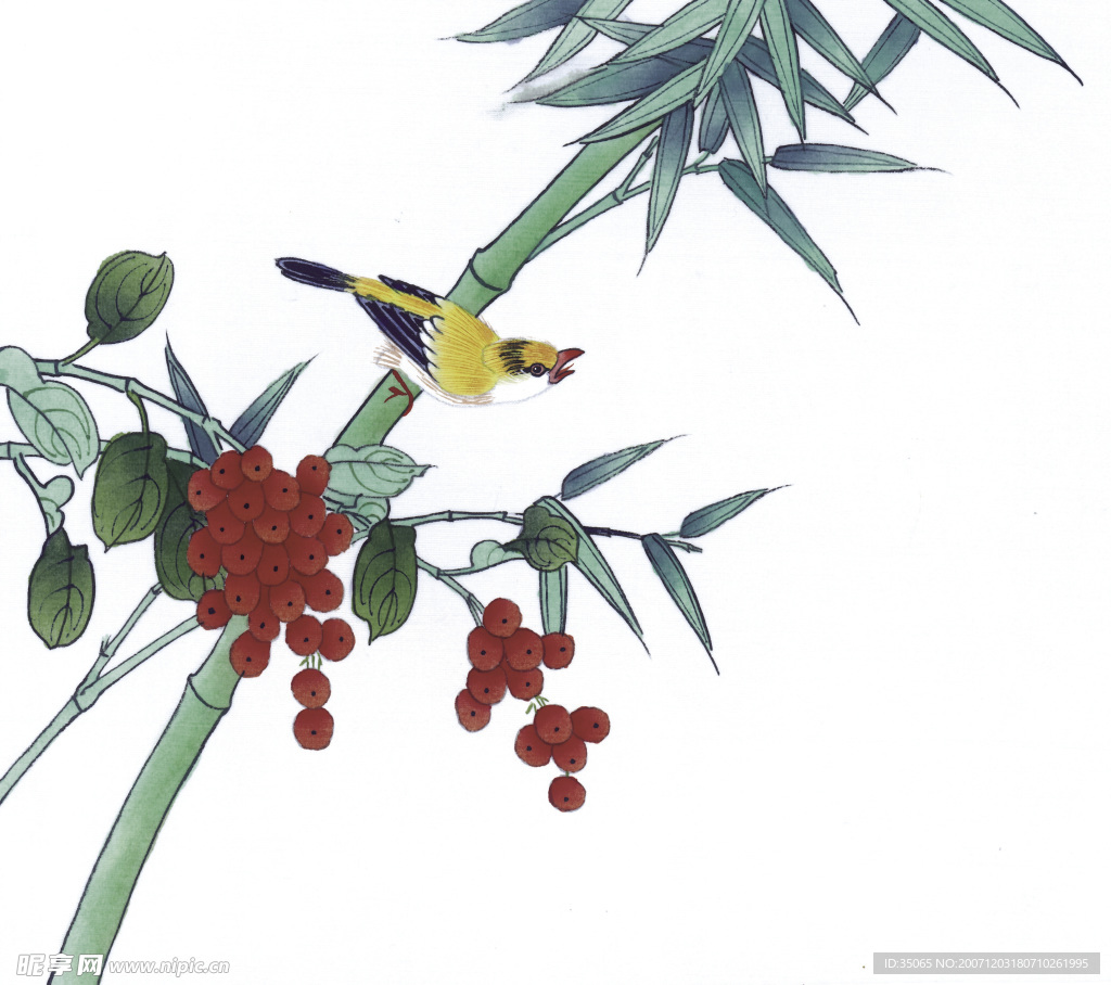 绘画花鸟珍品