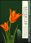 房产8D12
