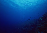 海底世界