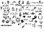 花纹