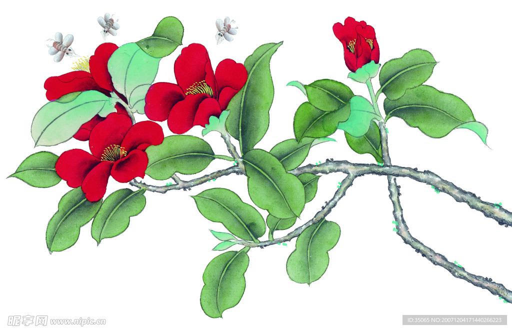 绘画花鸟珍品