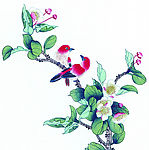 绘画花鸟珍品