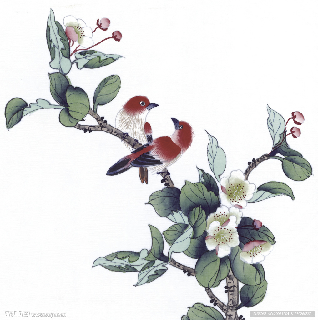 绘画花鸟珍品