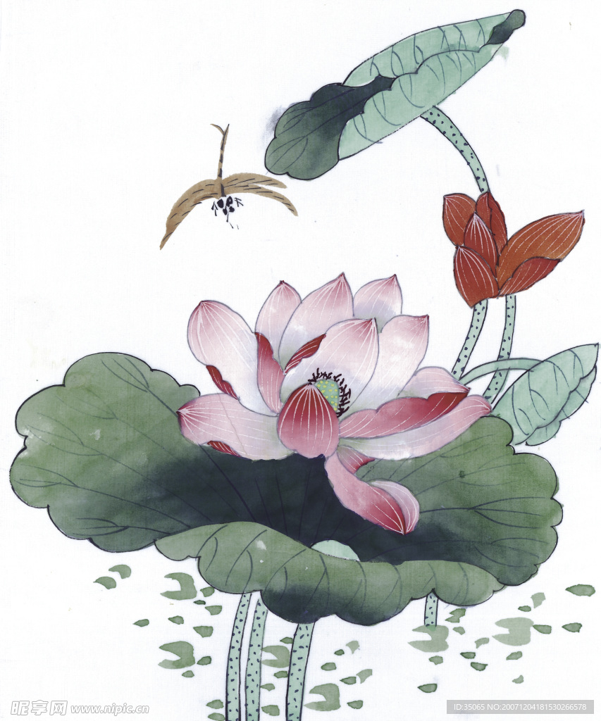 绘画花鸟珍品