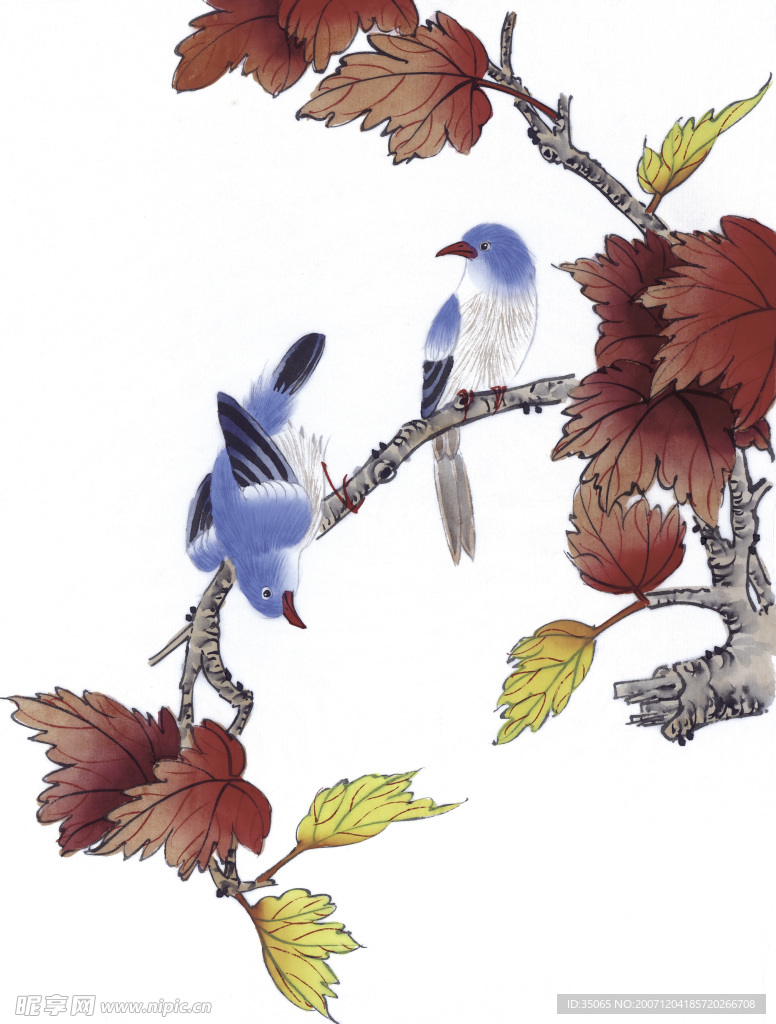 绘画花鸟珍品