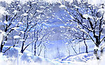 美丽冬雪 013
