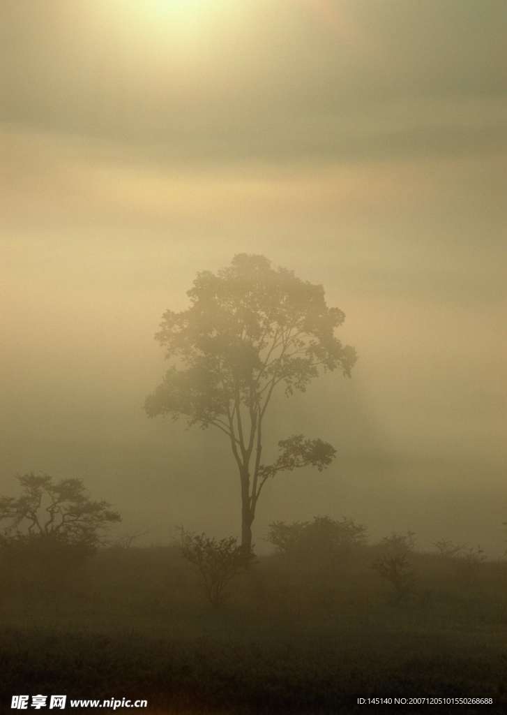 风景