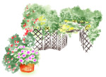 韩国花纹背景