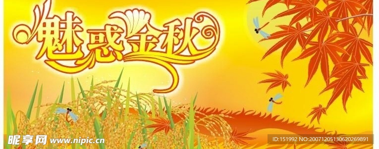 魅惑金秋