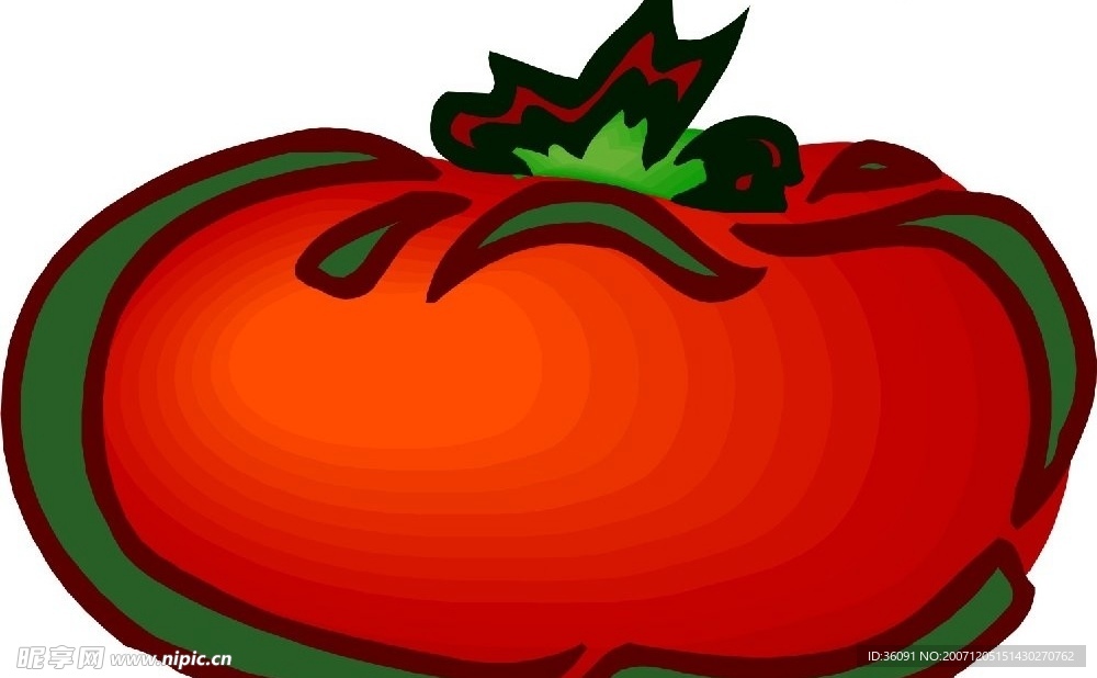 水果番茄矢量素材