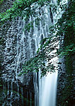 瀑布溪流树林河水(老牛爱吃嫩草上传)