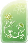 花纹