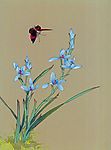 花鳥國畫15