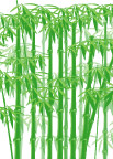 竹林