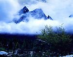 冰雪里的春天,中国美景7