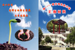 学校创建封面
