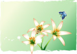 蝶恋花-05