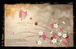 分层花纹