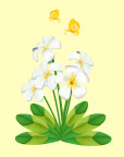 花草