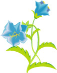 矢量花卉