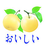 梨