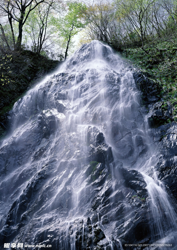 瀑布溪流树林河水(老牛爱吃嫩草上传)