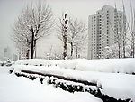 雪景