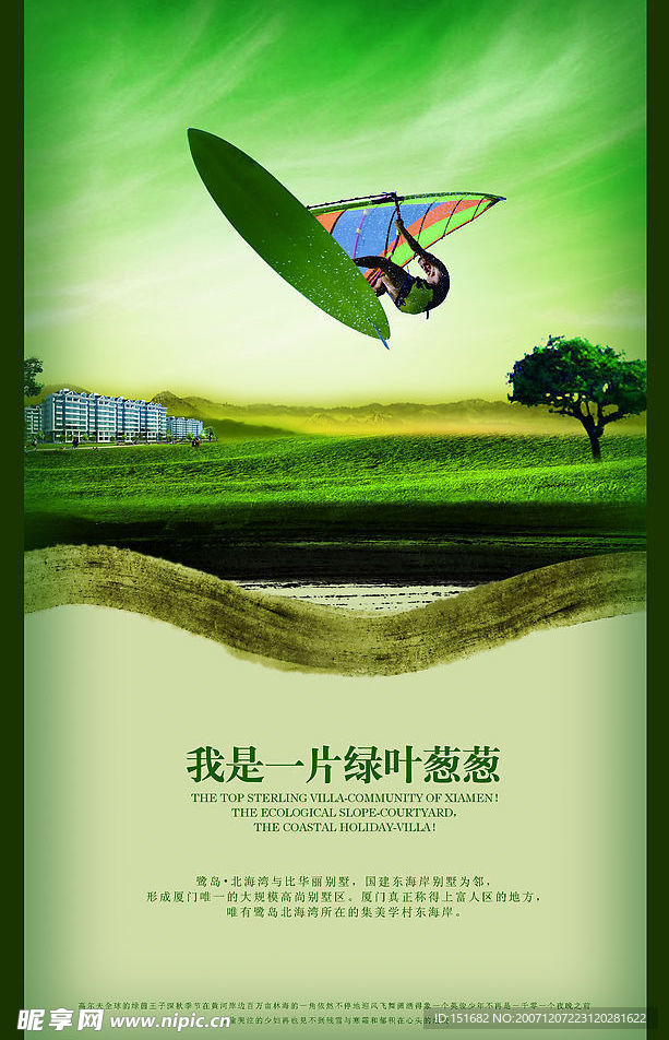 我是一片绿叶葱葱