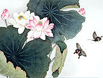 花鸟