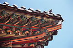 屋檐