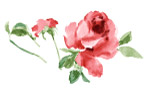 花里八拉