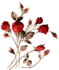 花里八拉