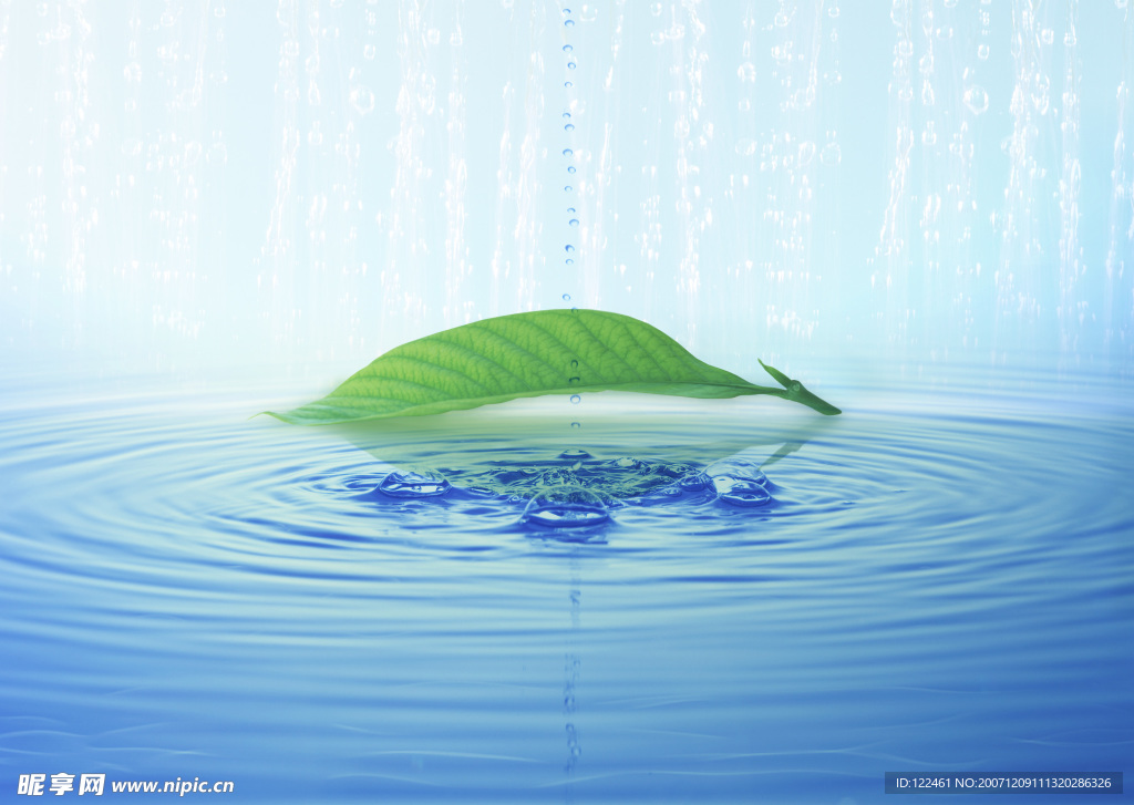 绿色 绿叶 水滴 水波 波纹 水纹