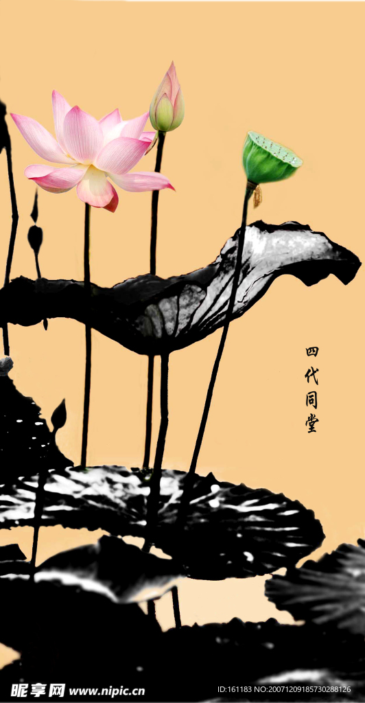 荷塘