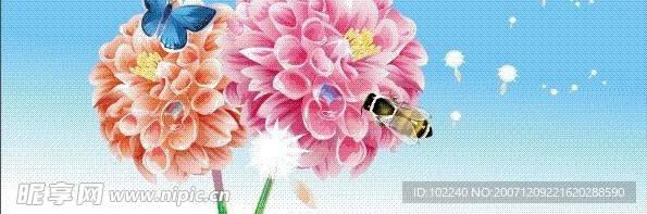 花蝴蝶