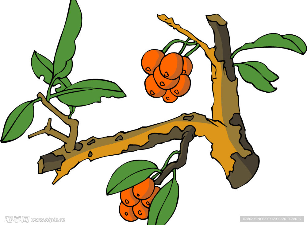 传统花草3