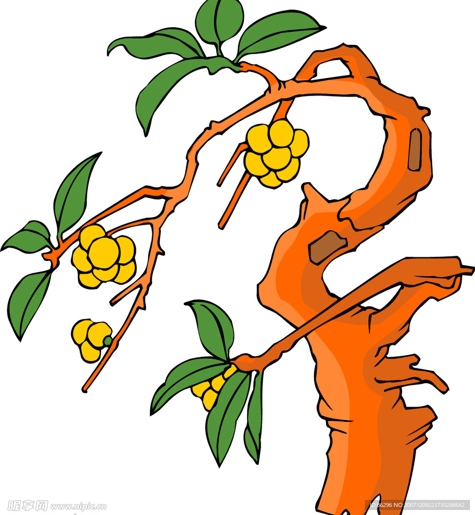 传统花草4