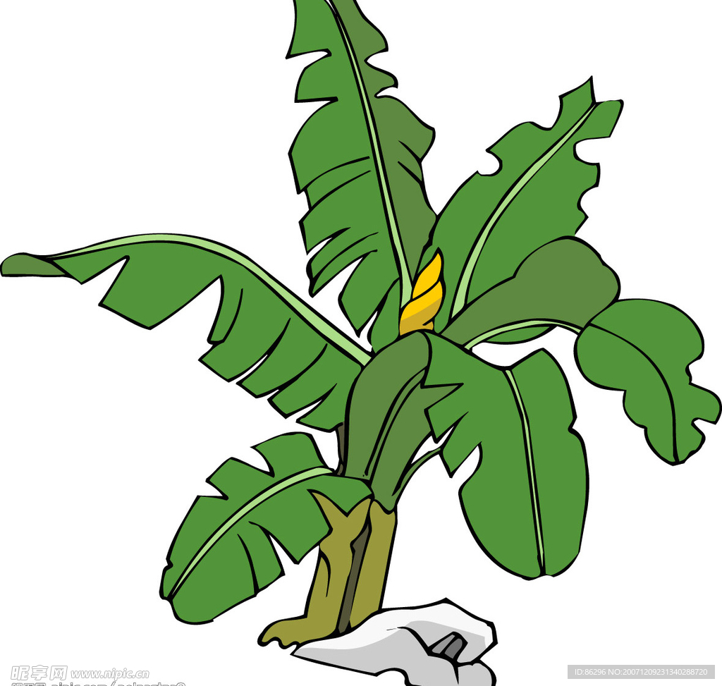 传统花草7