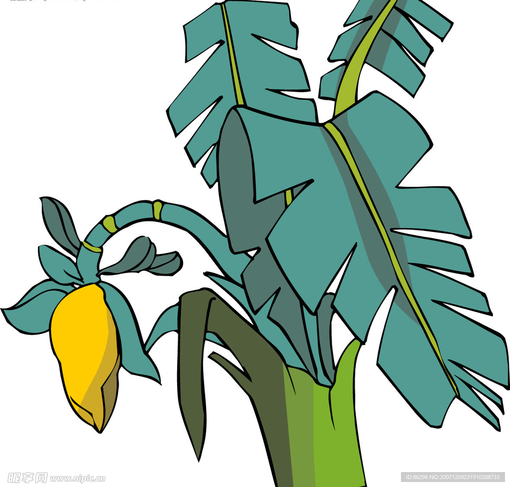 传统花草9