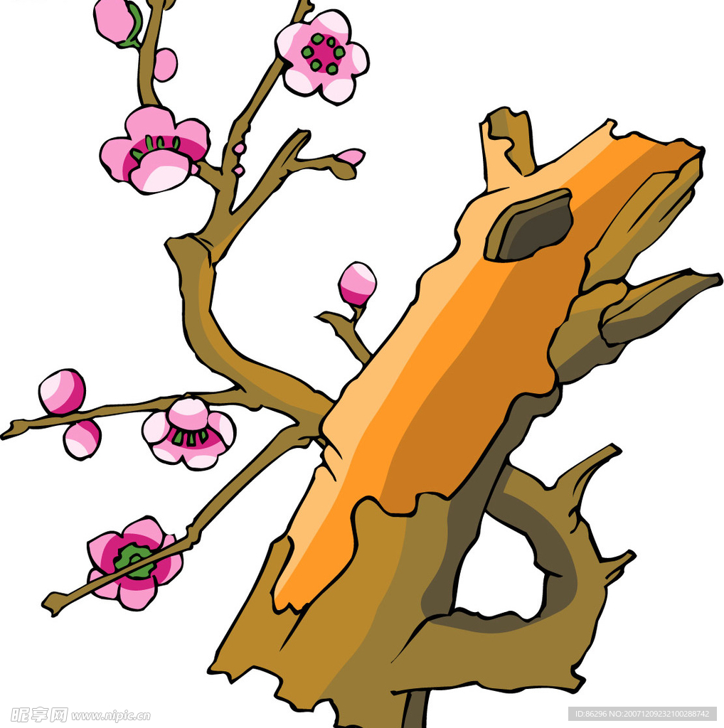 传统花草10