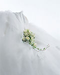 结婚进行曲