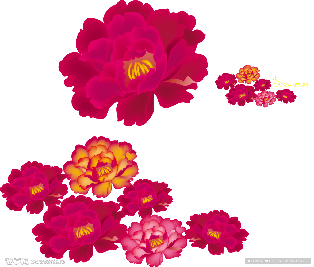 牡丹