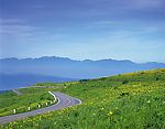 DAJ道路图片素材001