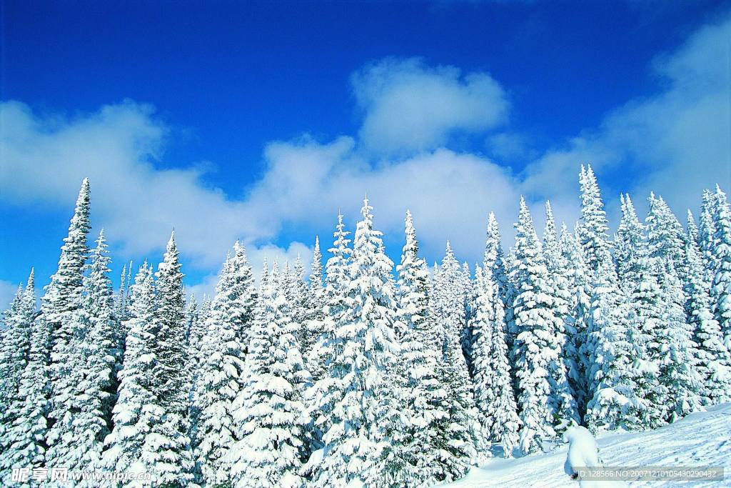 白雪皑皑