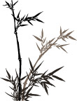 一组不错的矢量梅兰竹菊