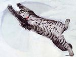 手绘猫