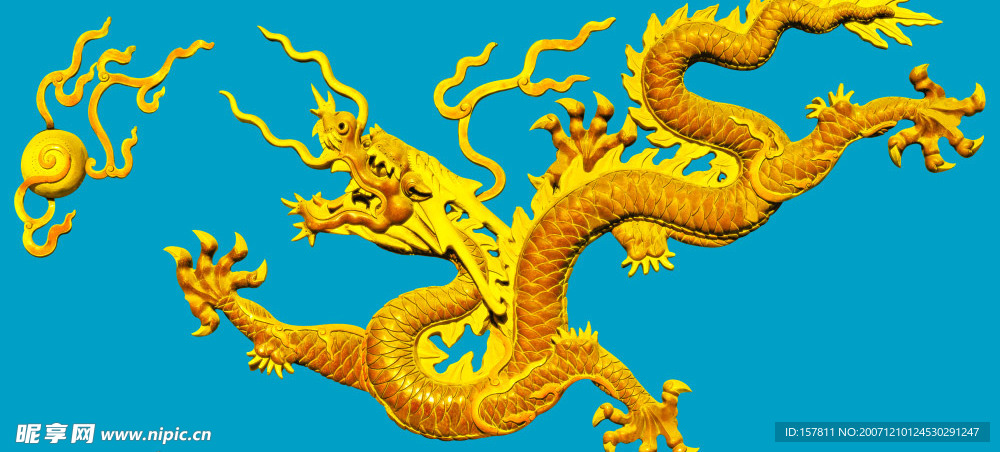 金龙